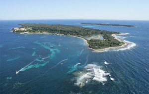 Stage Judo aux Iles de Lérins