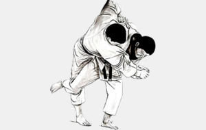 Reprise des cours de judo semaine prochaine