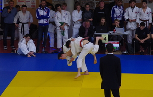 5c3b473110398_IMGP5646.JPG