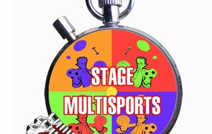 Stage Multi-sports